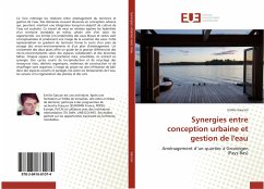 Synergies entre conception urbaine et gestion de l'eau - Gascon, Emilie