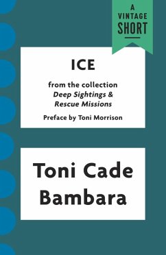 Cover Ice (eBook, ePUB)
