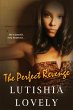 The Perfect Revenge (eBook, ePUB) - Bild 1