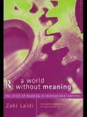 A World Without Meaning (eBook, ePUB)