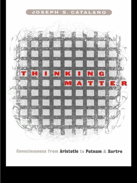 Thinking Matter (eBook, ePUB)