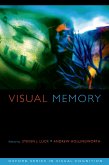Visual Memory (eBook, ePUB)