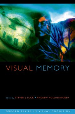 Visual Memory (eBook, ePUB)