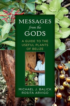 Messages from the Gods (eBook, PDF) Cover Messages from the Gods (eBook, PDF)