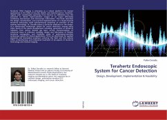 Terahertz Endoscopic System for Cancer Detection