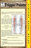 Trigger Points (Blokehead Easy Study Guide) (eBook, ePUB)