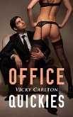 Office Quickies. Heißer Sex im Büro (Erotikgeschichten) (eBook, ePUB)