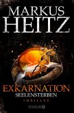 Seelensterben / Exkarnation Bd.2 (eBook, ePUB)