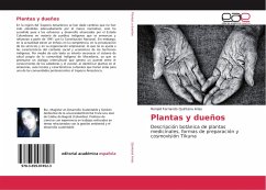 Plantas y dueños