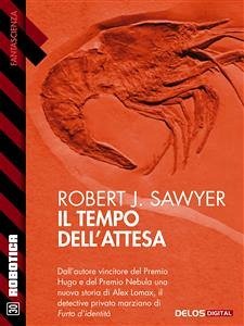 Il tempo dell'attesa (eBook, ePUB) - J. Sawyer, Robert