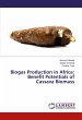 Biogas Production in Africa: Benefit... - Bild 1