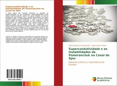 Supercondutividade e as Instabilidades de Pomeranchuk no Canal de Spin - de Abreu Bonfim, Paulo Sérgio;Gustavo Barci, Daniel