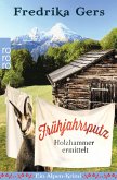 Frühjahrsputz / Holzhammer ermittelt Bd.4