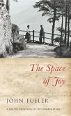 The Space of Joy (eBook, ePUB)