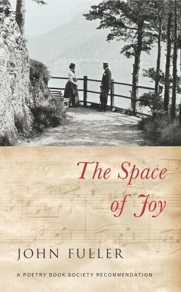 The Space of Joy (eBook, ePUB)