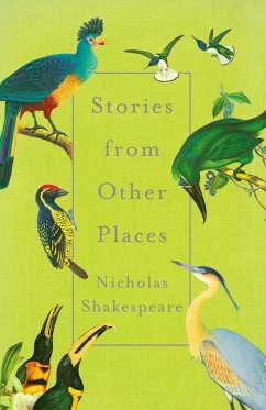 Cover Stories from Other Places (eBook, ePUB)