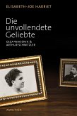 Die unvollendete Geliebte (eBook, ePUB)