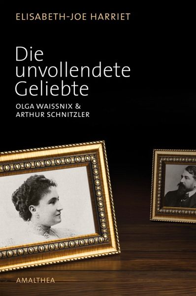 Die unvollendete Geliebte (eBook, ePUB)