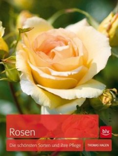 Rosen (Mängelexemplar) - Hagen, Thomas