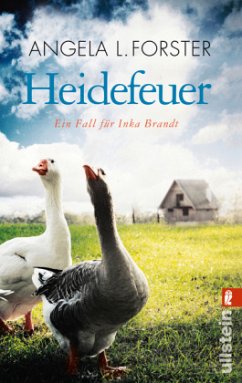 Heidefeuer / Inka Brandt Bd.1 - Forster, Angela L.