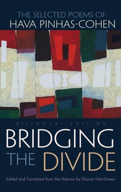 Cover Bridging the Divide