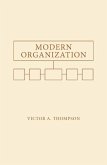 Modern Organization