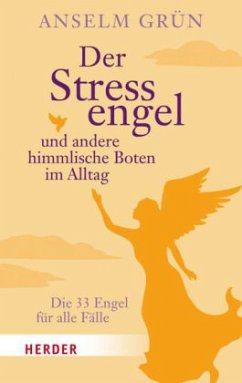 Der Stressengel und andere himmlische Boten im Alltag - Grün, Anselm