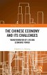 The Chinese Economy and its Challenges - Bild 1