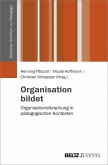 Organisation bildet (eBook, PDF)