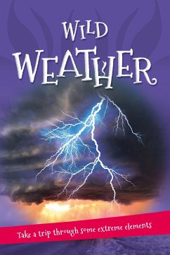 It's All About... Wild Weather - Kingfisher Books