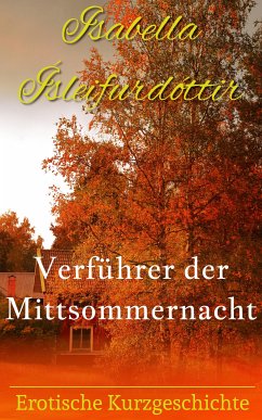 Verführer der Mittsommernacht (eBook, ePUB) - Ísleifurdóttir, Isabella