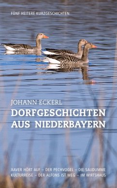 Dorfgeschichten aus Niederbayern (eBook, ePUB) - Eckerl, Johann