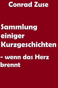 Sammlung einiger Kurzgeschichten (eBook, ePUB) - Zuse, Conrad