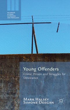 Young Offenders (eBook, PDF)