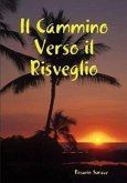 Il Cammino Verso Il Risveglio (eBook, ePUB)