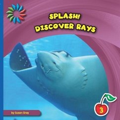 Discover Rays - Gray, Susan H