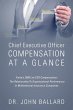 Chief Executive Officer Compensation At... - Bild 1