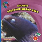 Discover Moray Eels