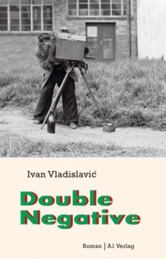 Double Negative - Vladislavic, Ivan