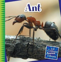 Ant - Gray, Susan H
