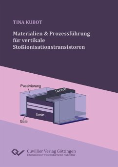 Materialien und Prozessführung für vertikale Stoßionisationstransistoren - Kubot, Tina