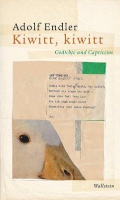 Kiwitt, kiwitt - Endler, Adolf