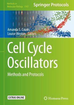 Cell Cycle Oscillators