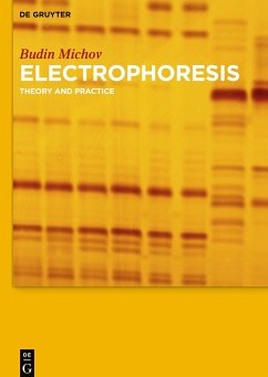 Electrophoresis - Michov, Budin