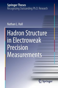 Hadron Structure in Electroweak Precision Measurements - Hall, Nathan L.