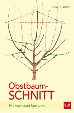Obstbaumschnitt - Loose, Helmut