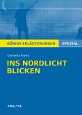 Cornelia Franz "Ins Nordlicht blicken"