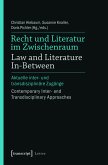 Recht und Literatur im Zwischenraum / Law and Literature In-Between (eBook, PDF)