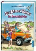 Im Bernsteinfieber / Die Wilden Küken Bd.9 (Mängelexemplar) Im Bernsteinfieber / Die Wilden Küken Bd.9 (Mängelexemplar)