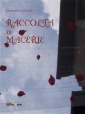 Raccolta di macerie (eBook, PDF)